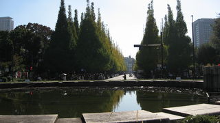 銀杏並木が有名