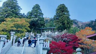 紅葉満喫、湘南一望