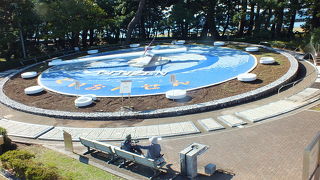 時期が悪く花が無い