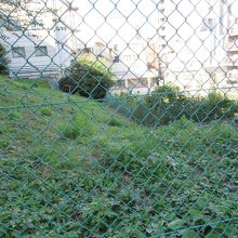 坂上の坂と反対側の緑が茂る丘の上と言った感じの様子