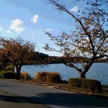 千波湖畔・その１