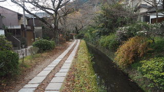 思っていたより寂しい