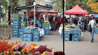 新鮮で値段も安い野菜を買いました