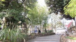 荻窪という地名の由来になった寺です