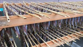 ししゃもの販売