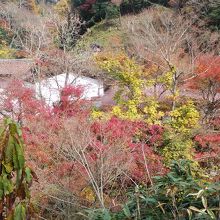 散策道から見た桜井家です