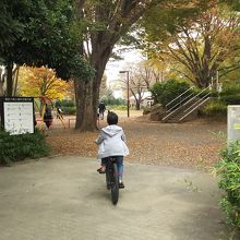 諏訪の森公園
