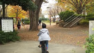 自然がいっぱい