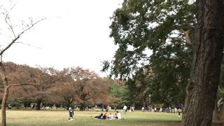 かなり広い公園