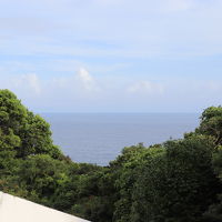 海が見えます。