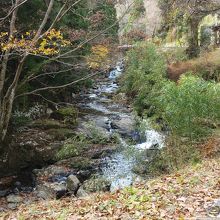 滝の下流です