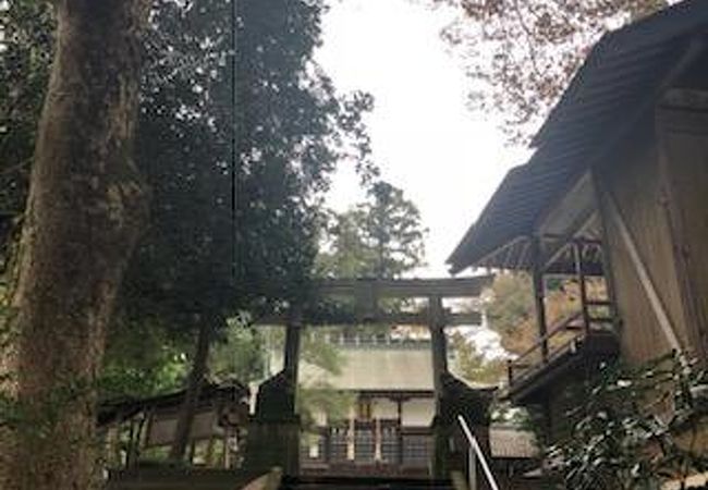 出雲祝神社にあります