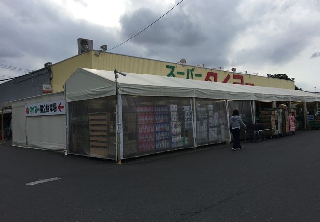 タイヨー (成田店)