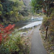 多摩川に沿っての遊歩道で比較的歩きやすかったです。