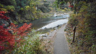 多摩川に沿っての遊歩道で比較的歩きやすかったです。