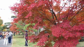 乾通の紅葉通り抜け