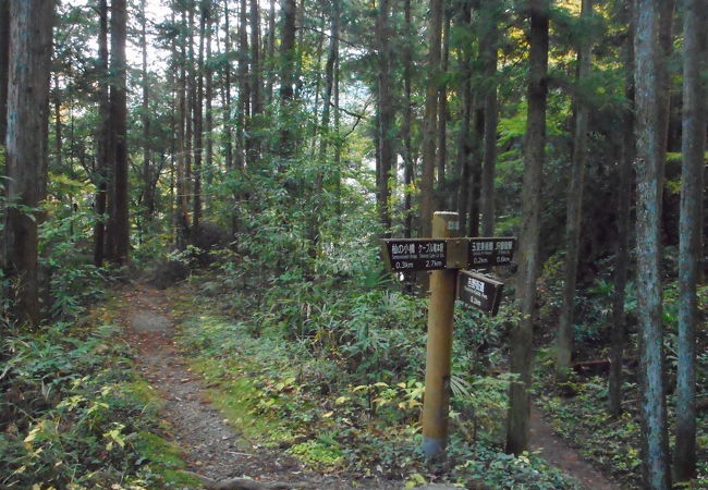 少しだけ山道みたいな感じの道もありました。