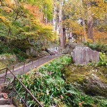 孫娘の後から、石段をどんどん登ります。