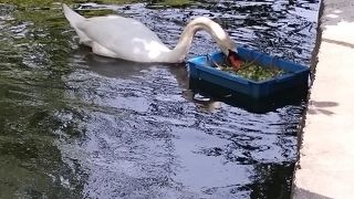 綺麗に整備された場所