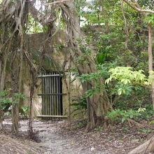 木々に隠れるようにコンクリートが見えます