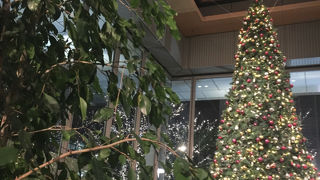 大きなクリスマスツリー