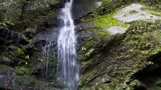 見てると滝に打たれたくなる滝