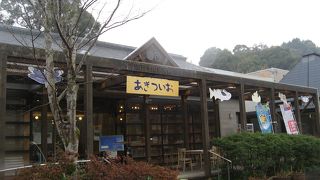 トンボ王国の博物館