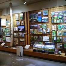 植物の写真など