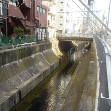 東横線廃線跡が遊歩道になり、イルミネーションがつく。
