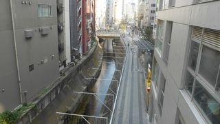 昭和30年代よりもきれいになったが、春の小川の面影はない。