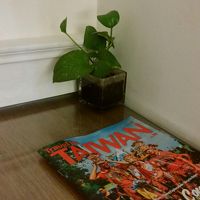 さりげなくグリーンも