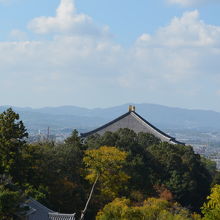 大仏殿も見えます