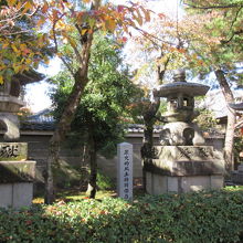 石燈籠が並んでいます