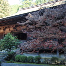 金剛輪寺の金堂