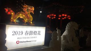 早くも2019年の春節灯篭が！