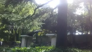 日本で最初の野外音楽堂です