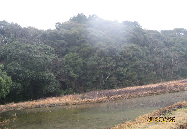 四万十トンボ自然公園 クチコミ アクセス 営業時間 中村 四万十川周辺 フォートラベル