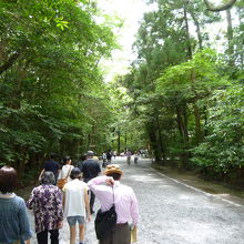 林の中にある参道