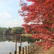 神秘的な神社です