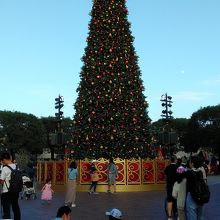 メインストリート前のクリスマスツリー