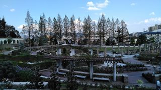 秋のバラ公園　荒牧バラ公園