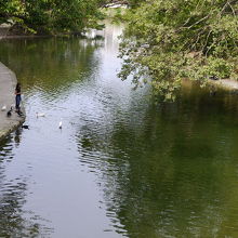 細長い水路のような池です