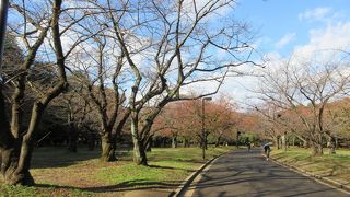 早朝に訪れました