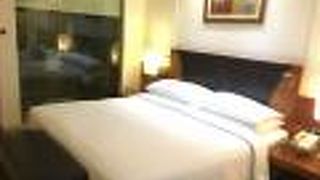 ラディソン ブル プラザ デリー エアポート