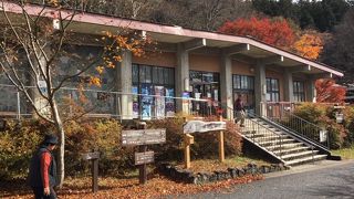 秩父市営三峯駐車場から、三峯神社に向かう途中にあります