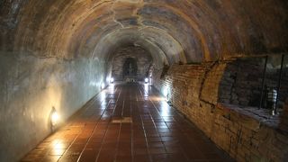 朝か夕方がおすすめ