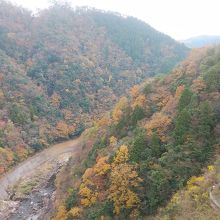 紅葉が綺麗てした