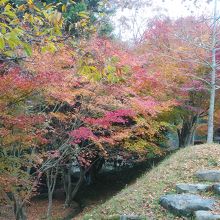 まだ紅葉が綺麗でした
