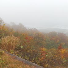 小雨に煙る、岩木山の紅葉。
