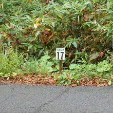 カーブ№17まで来ました。52カーブを下ってきました。